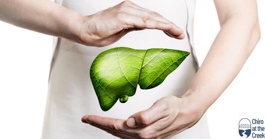 How Does Liver Protectâ„¢ Help With a Congested Liver