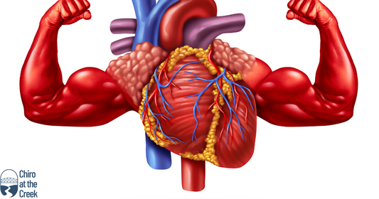 Why People On Statins Should Be Taking CoQ10