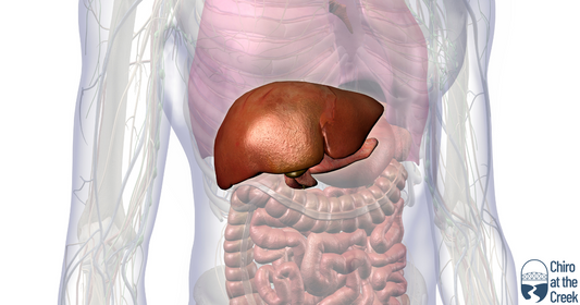 Why Vitamin D Is Crucial For Reversing Liver Damage