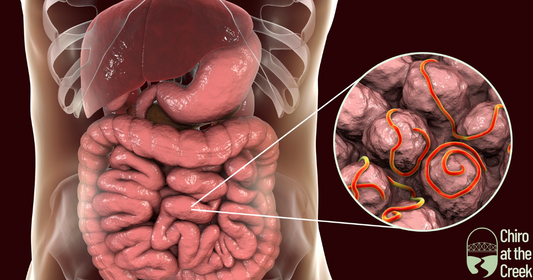 ParaGuard: Proven Relief from Fungal and Parasitic Infections