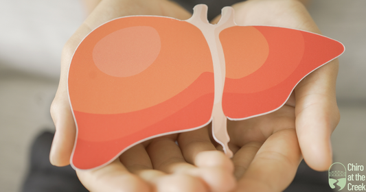 How the Liver Keeps You Healthy: Key Functions Revealed