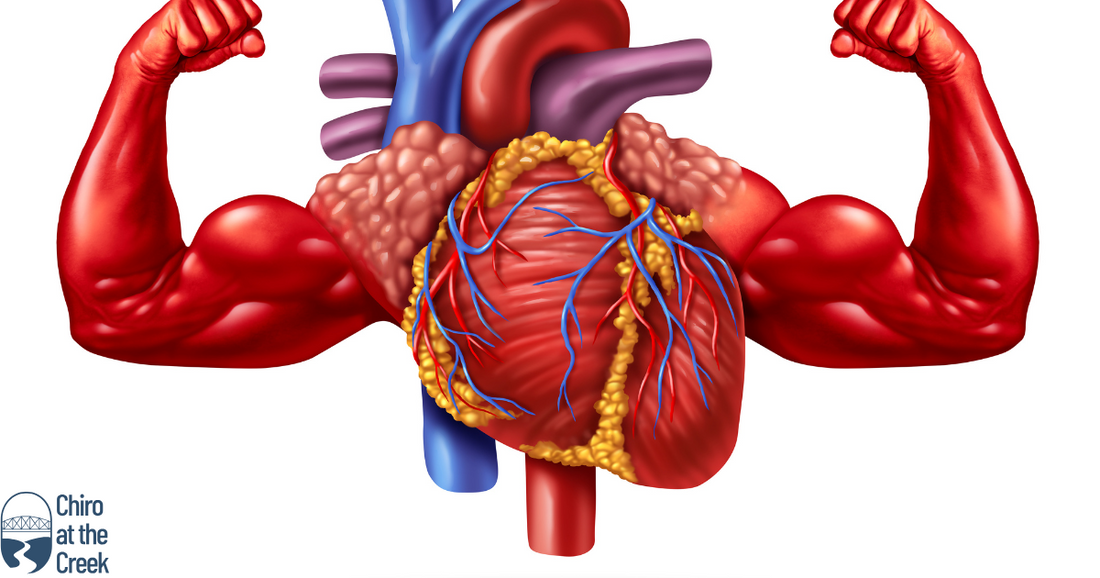Why People On Statins Should Be Taking CoQ10