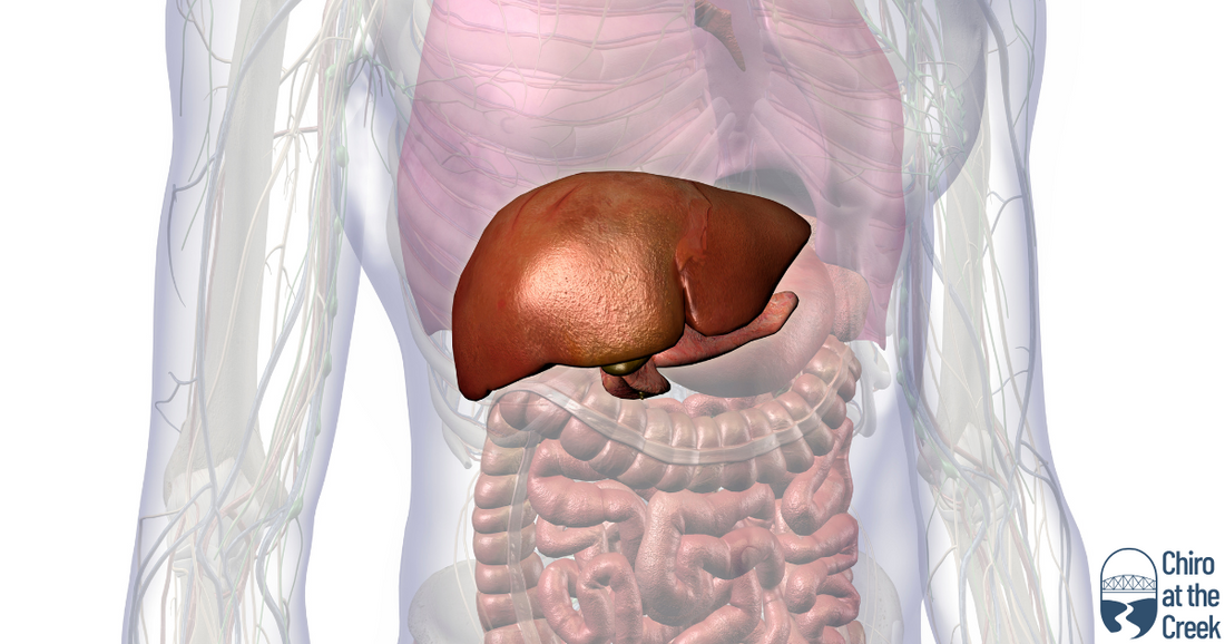 Why Vitamin D Is Crucial For Reversing Liver Damage